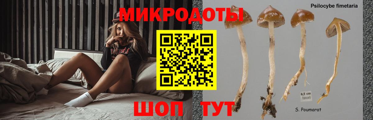 наркота  Вход с VPN  Еманжелинск  Галлюциногенные грибы Magic Shrooms  Галлюциногенные грибы прущие грибы 